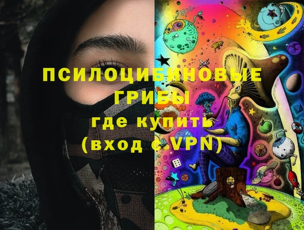 дживик Алексин