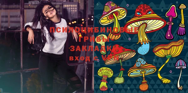 эйфоретик Алексеевка