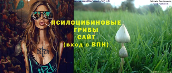 эйфоретик Алексеевка