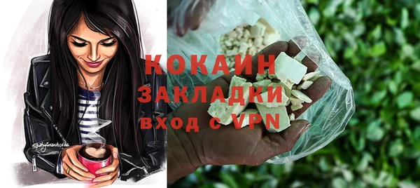дживик Алексин