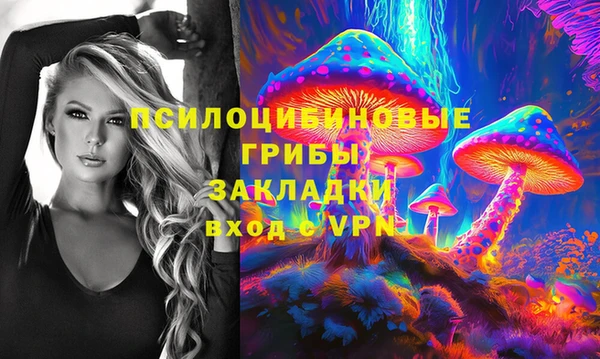 эйфоретик Алексеевка